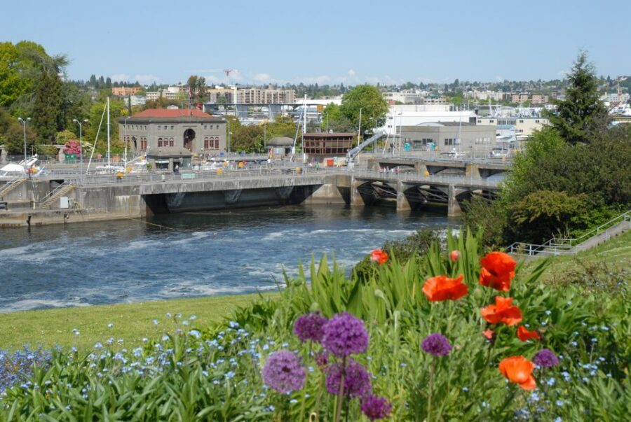 Seattle: 3-Hour City Tour by Bus - Discovery Park and Magnolia Bluff: Big Views, Quick Looks
