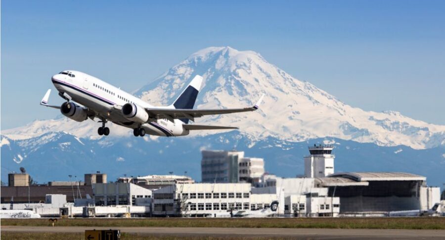 Seattle: Cruise Port City Sightseeing Tour - A 3-hour Seattle cruise-port sprint that still hits big landmarks