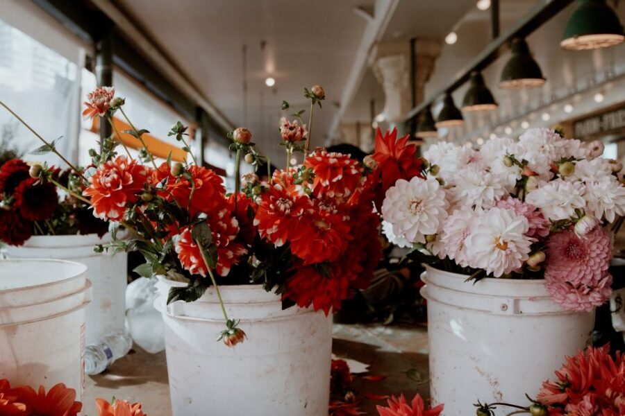 Seattle: Early-Bird Tasting Tour of Pike Place Market - Rain-or-shine practical tips for an easier 2 hours