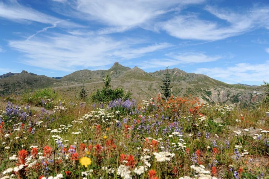 Seattle: Mt. St. Helens National Monument Small Group Tour - What to Bring (So the Day Feels Good, Not Miserable)