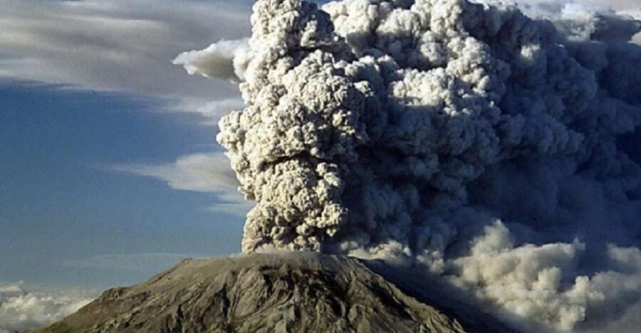 Seattle: Mt. St. Helens National Monument Small Group Tour - Lewis and Clark State Park: Old-Growth Feel, Easy Hiking