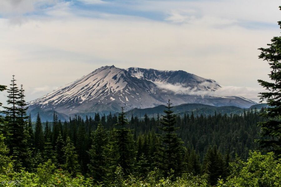Seattle: Mt. St. Helens National Monument Small Group Tour - Your Guides: Naturalist Work That Turns Stops Into Stories