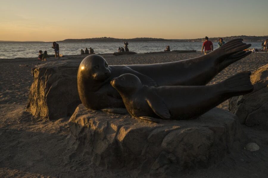 Seattle: Night Tour with Local Guide - Key things to know before you go