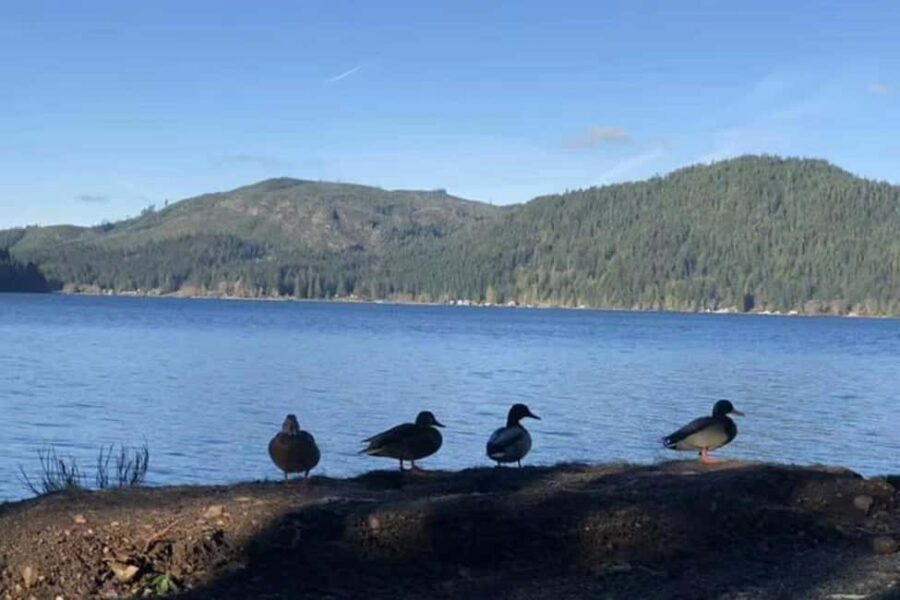 Seattle: Olympic National Park Day Tour with Scenic Ferries - The itinerary in plain English: what each stop gives you