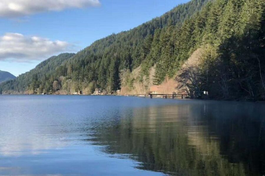 Seattle: Olympic National Park Day Tour with Scenic Ferries - Timing and logistics: how to make the early start feel worth it