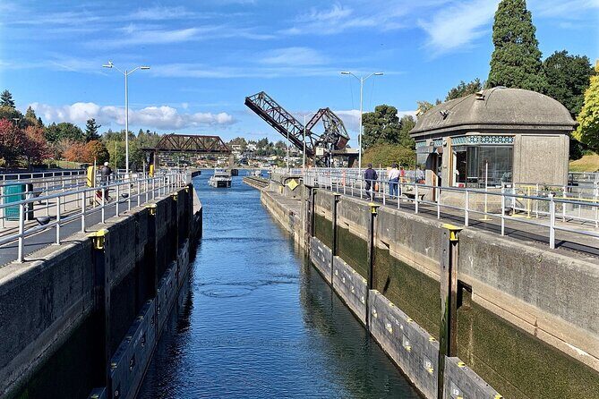 Seattle Scenic Panoramic Tour - Gas Works Park: skyline views without a ticket price