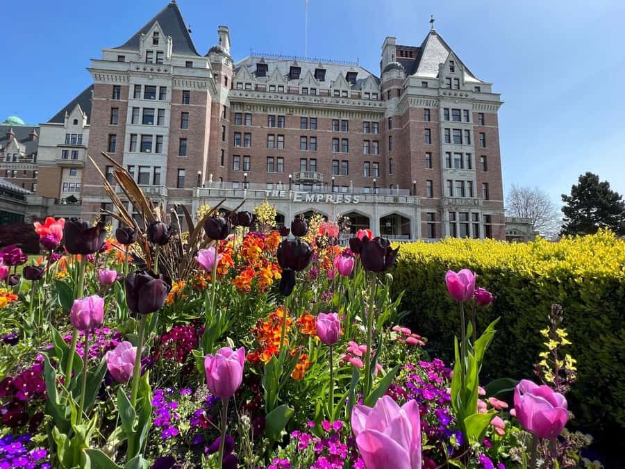 Seattle: Victoria, BC Round-Trip Ferry Tour - Five Hours on Foot: What You Can Do in Downtown Victoria