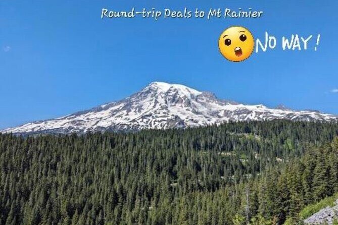 Seattle, WA Hourly Rental Around Town & Sightseeing - Price and Value: When Hourly Car Service Makes Sense in Seattle