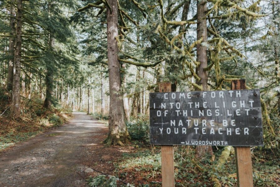 Seattle: Waterfall Wonderland Hike in Wallace Falls Park - Price and value: what you’re really paying for at $259