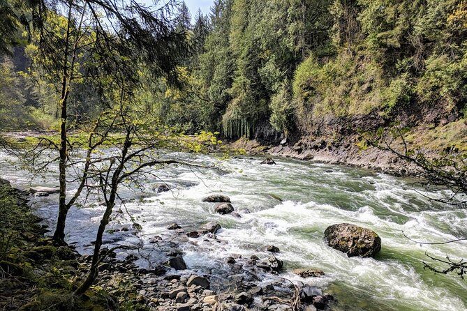Seattle Wine and Waterfall Luxury Small-Group Day Tour with Lunch - Woodinville wine tastings: three guided visits with fees included