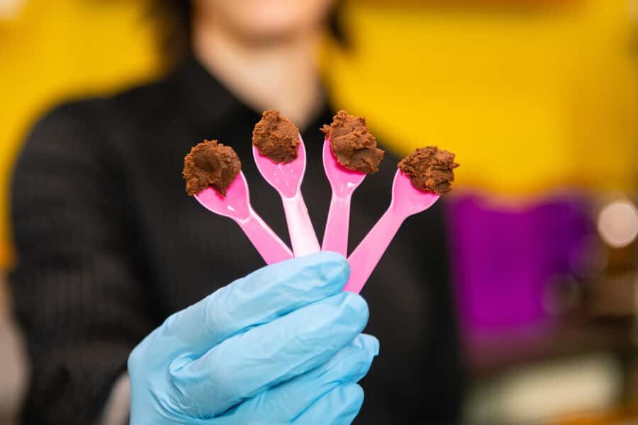 Seattle: Wine, Cheese and Chocolate Pairing Tour - Washington Wine Tastings Without the Attitude
