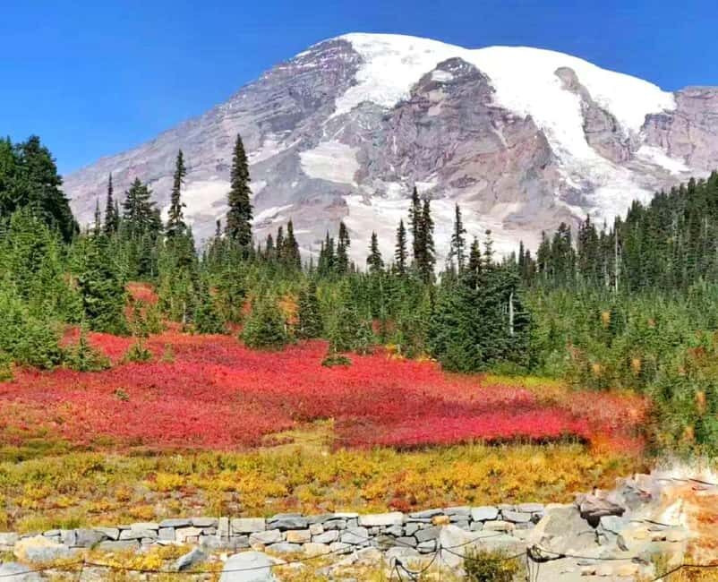 Seattle:Small Group Mount Rainier National Park 1-Day Tour - Key highlights that make this tour worth your time