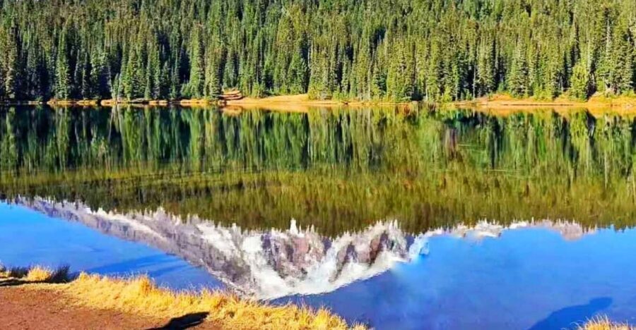 Seattle:Small Group Mount Rainier National Park 1-Day Tour - Winter planning: Longmire plus the Wonderland Trail area