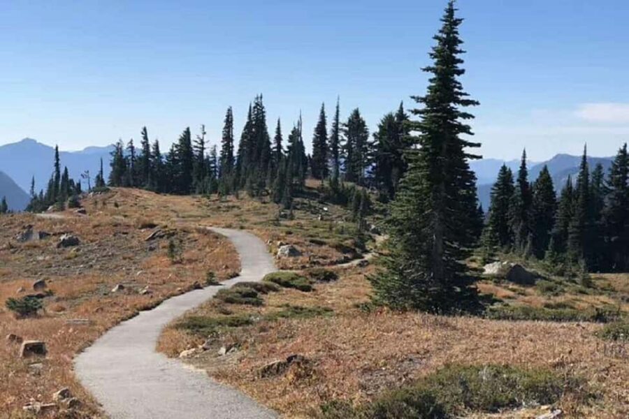 Seattle:Small Group Mount Rainier National Park 1-Day Tour - Price and value: what $151 buys you in a 1-day format