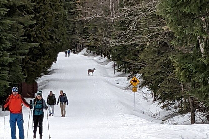 Shuttle to Snoqualmie Pass Ski and Snowboard - On Board Comfort: Snacks, Water, and Charging