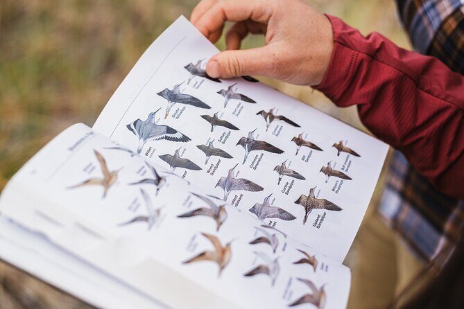 Skagit Valley Birding + Deception Pass Day Tour From Seattle - Key things you’ll remember