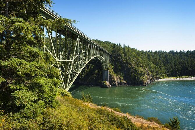 Skagit Valley Birding + Deception Pass Day Tour From Seattle - Seattle pickup and a full day with the right rhythm
