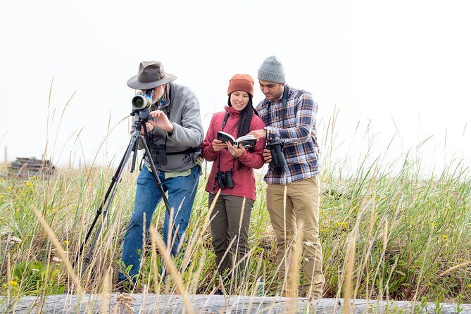 Skagit Valley Birding + Deception Pass Day Tour From Seattle - Fort Casey Historical State Park: bunkers, batteries, and lighthouse views