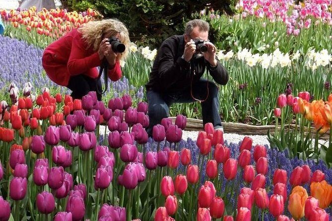 Skagit Valley Tulip Festival Day Tour from Seattle - Tulip Valley Farms: why the first field stop feels like a reset