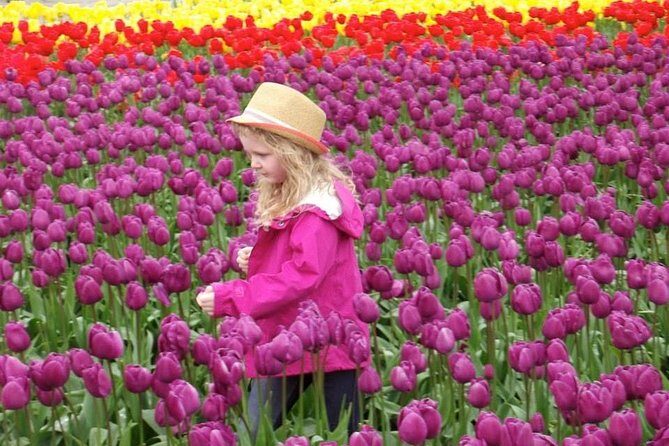 Skagit Valley Tulip Festival Day Tour from Seattle - Timing, rain, and photo tips that actually help