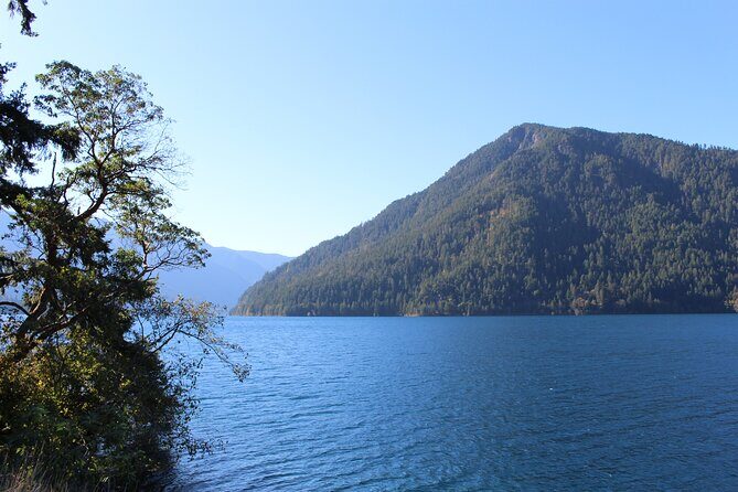 Small Group Olympic National Park Day Tour from Seattle 2CanGo - Guides and pacing: why the day works (or doesn’t)