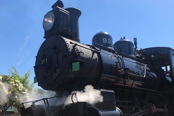 Snoqualmie Fall & Railway Museum 3-Hours (Private Tour) - Scenic Seattle-to-Snoqualmie Route Without the Stress