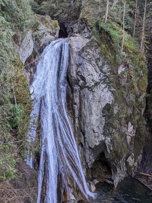 Snoqualmie, Twin Falls & Ancient Forest (Transport Included) - Key highlights to know before you go