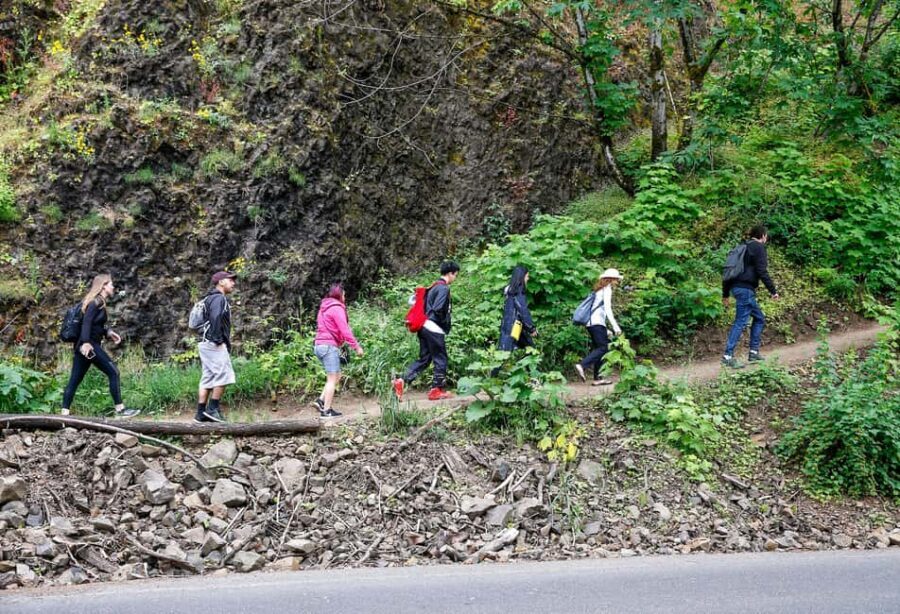 Snoqualmie, Twin Falls & Ancient Forest (Transport Included) - What the hike is really like (and how Jonny handles different paces)