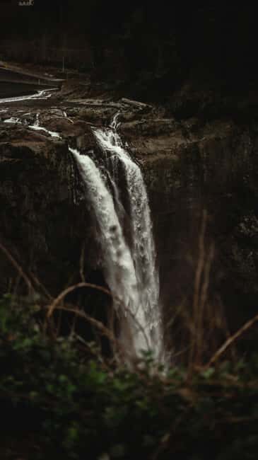 Snoqualmie, Twin Falls & Ancient Forest (Transport Included) - Temperate rainforest and ancient-tree details you’ll actually notice