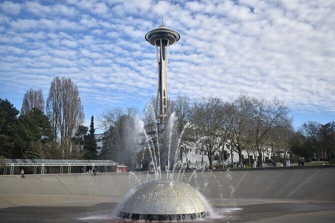 Space Needle & Seattle Center Small Group Private Walking Tour - What you gain from private small-group attention