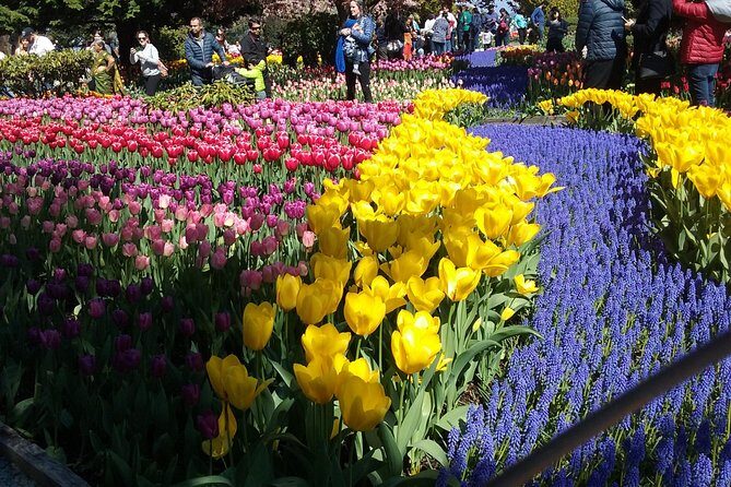 Tulip Festival and Skagit Valley Tour - Key highlights worth planning for