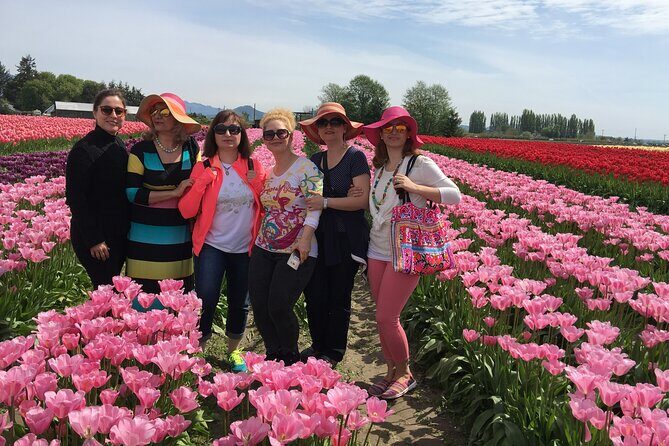 Tulip Festival in Skagit Valley Tour from Seattle - Roozengaarde Farm and the tulip festival entrance you don’t have to think about