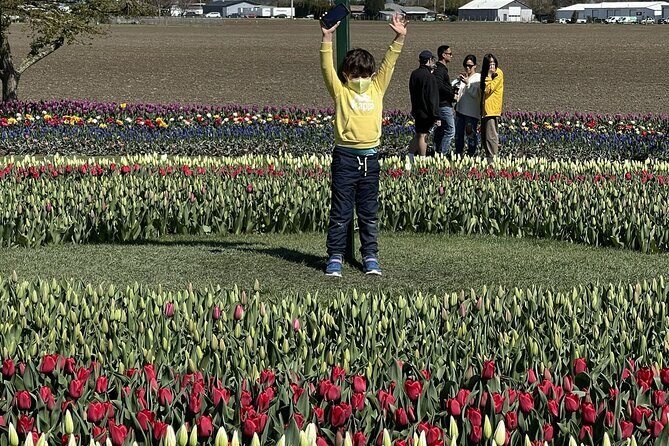 Tulip Festival in Skagit Valley Tour from Seattle - Tulip Town: best for extra photos, indoor displays, and browsing (for an extra cost)