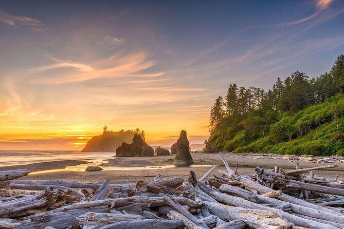 Twilight Forks Washington Tour - Key Highlights You’ll Actually Care About