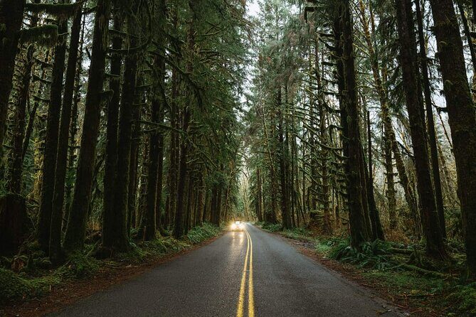 Twilight Forks Washington Tour - Stop 3: Lake Crescent, Glacial Water, and a Real Nature Detour