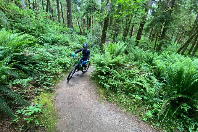 Viator Exclusive - Half Day Mountain Bike Tour from Seattle - Raging River: faster terrain for advanced-expert riders