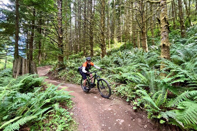 Viator Exclusive - Half Day Mountain Bike Tour from Seattle - Transportation from Seattle: easy pickup, small friction