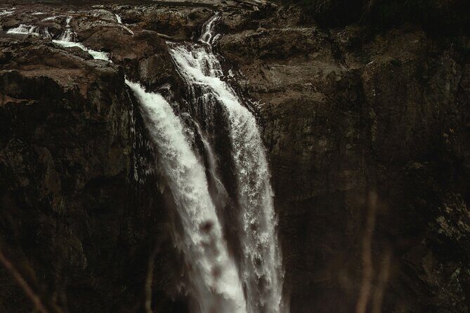 Visit Snoqualmie waterfall and an old forest (Transport Included) - Private transportation value: why the van is part of the experience