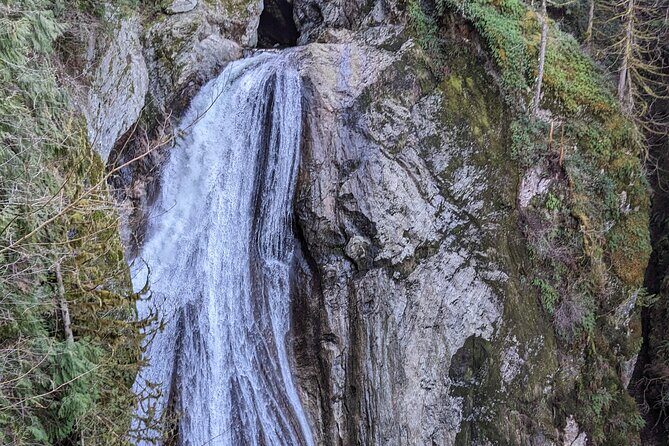 Visit Snoqualmie waterfall and an old forest (Transport Included) - Tips to make this tour feel easy (even if you’re not a hiker)