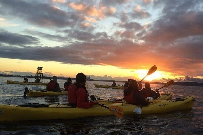 West Seattle Sunset Sea Kayak Tour - Why This 2-Hour West Seattle Sunset Kayak Works