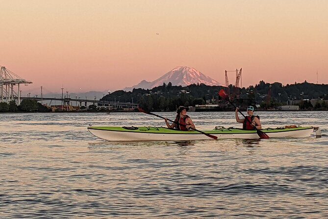 West Seattle Sunset Sea Kayak Tour - Wildlife Watching Near the Duwamish River (And How to Actually See It)