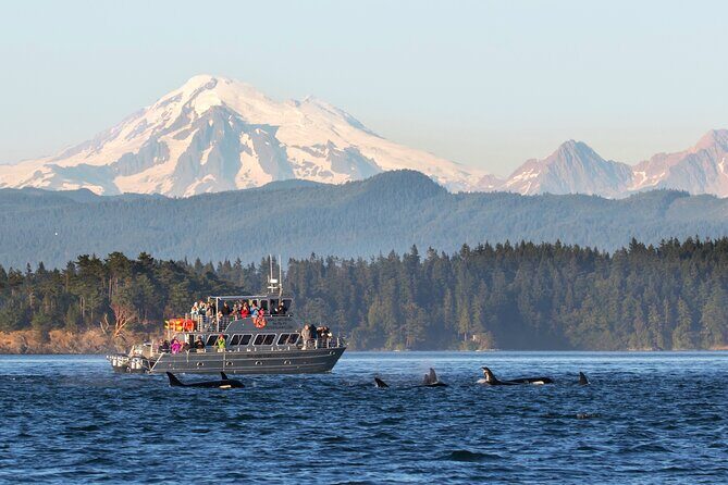 Whale Watching + Deception Pass Tour from Seattle - Key highlights at a glance