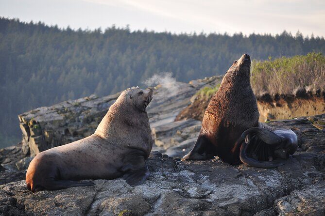 Whale Watching + Deception Pass Tour from Seattle - Pickup in Downtown Seattle, then north to Deception Pass