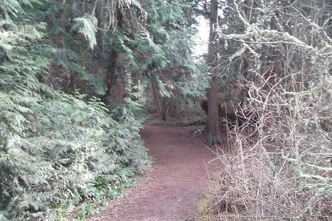 Whidbey Island Deception Pass Private SUV Tour - Stop 3: Fort Casey Historical State Park for pre–WW1 fort vibes