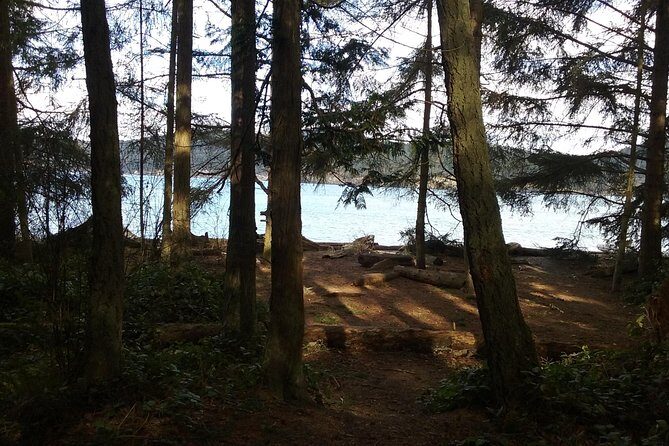 Whidbey Island Deception Pass Private SUV Tour - What to pack for a rain-or-shine day (and how to plan food)
