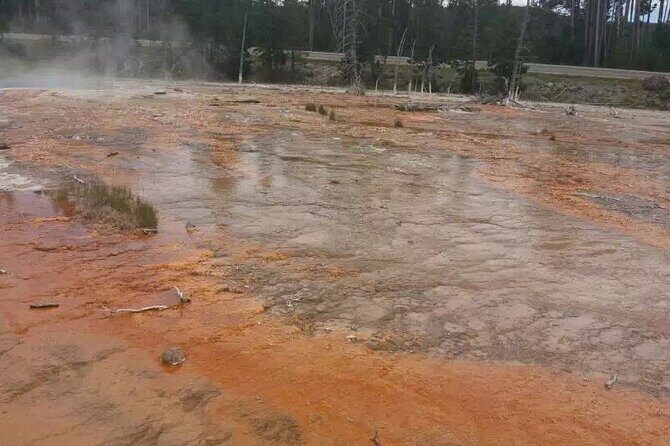 Yellowstone Grand Teton and Coeur d’Alene 5-Day Tour from Seattle - Quick hits before you go